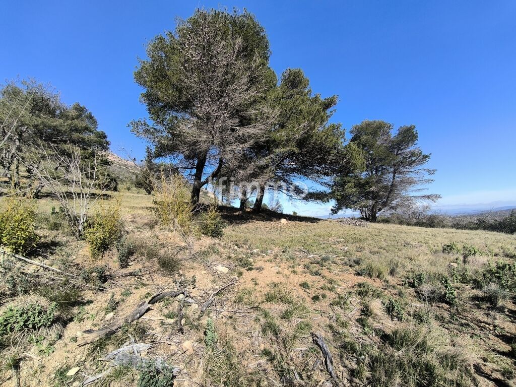 Photo 7 : Terrain de loisirs