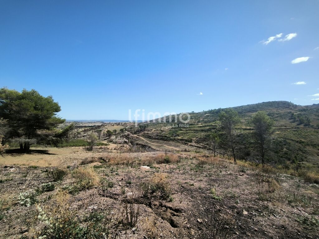 Photo 8 : Terrain de loisirs