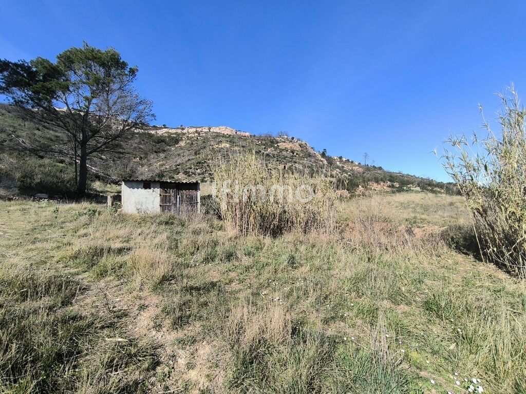 Photo 9 : Terrain de loisirs