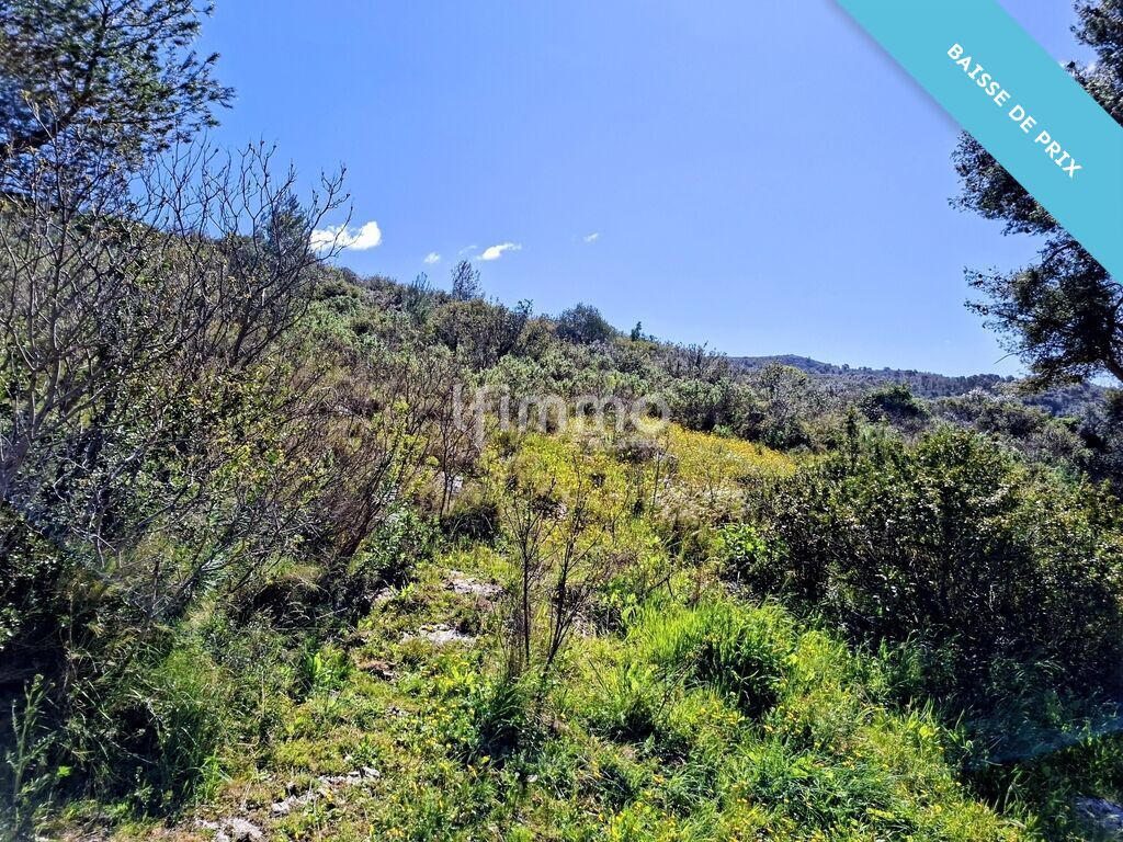 Photo 30 : La  Maison du Bonheur à Allauch