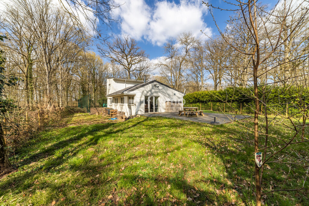Photo 9 : Chalet, à usage d'Habitation, en pleine forêt