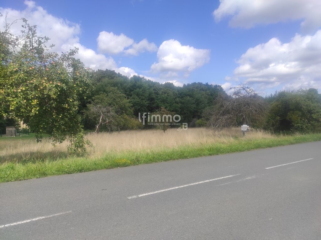 Photo 1 : Très grand terrain à construire