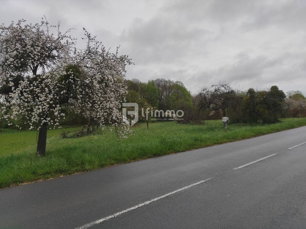 Photo 2 : Très grand terrain à construire