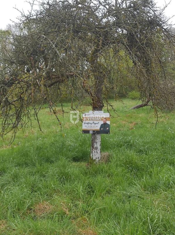 Photo 3 : Très grand terrain à construire