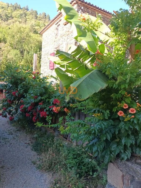 Photo 2 : Mas Cévenol-là où la pierre rencontre la douceur de vivre