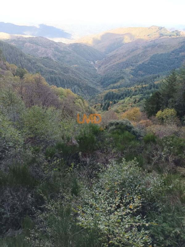 Photo 3 : Mas Cévenol-là où la pierre rencontre la douceur de vivre