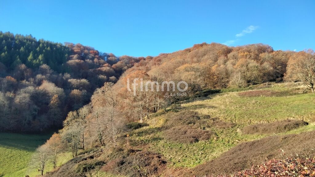 Photo 13 : Maison d'habitation,grange et 1ha80 dans les Baronnies