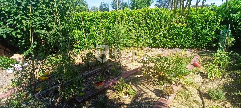 Photo 15 : Maison 6 pièces Misy Sur Yonne Vinneuf