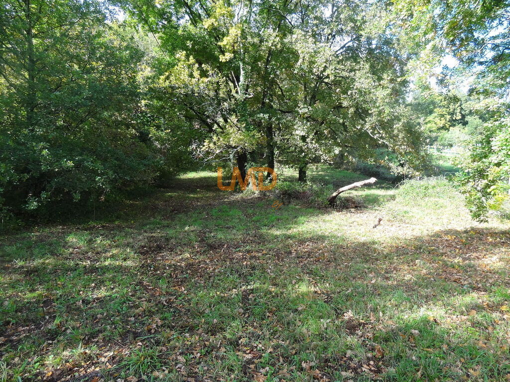 Photo 3 : Terrain à batir 1710 m2