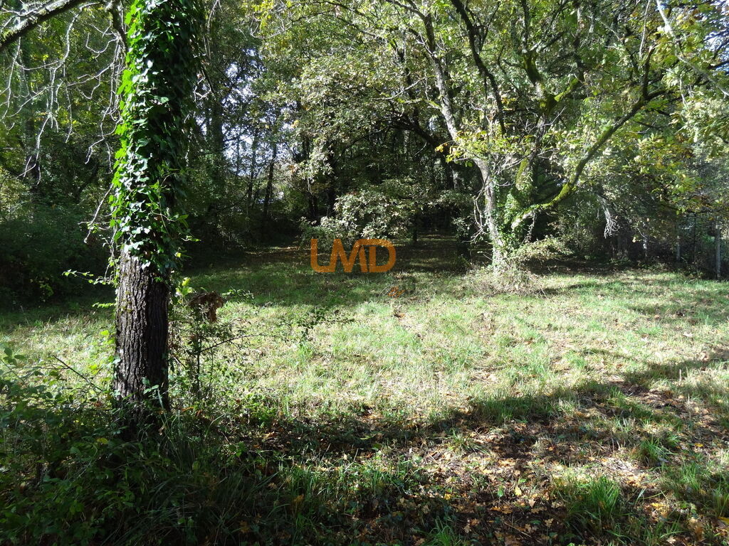 Photo 4 : Terrain à batir 1710 m2