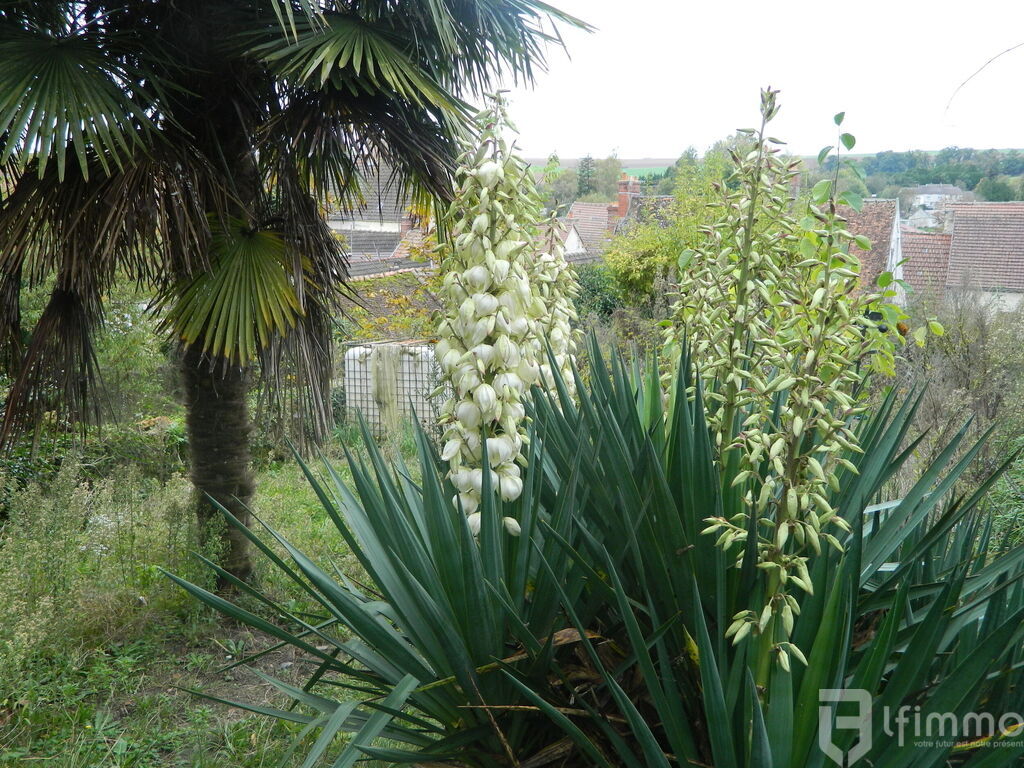 Photo 5 : Investissement  à Neuilly saint front  2 maisons + 1 appartement
