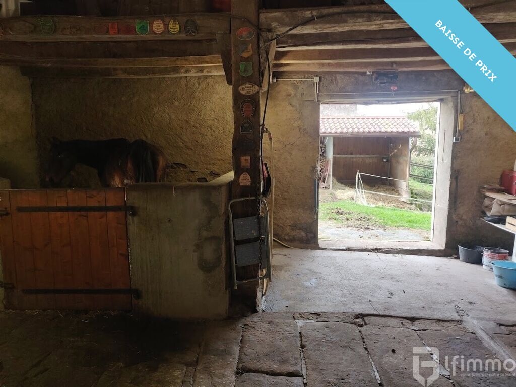 Photo 17 : Charmante maison avec installations équestres